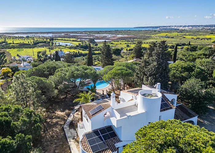 Branca - Dos Salgados *