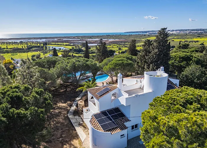 Branca - Dos Salgados